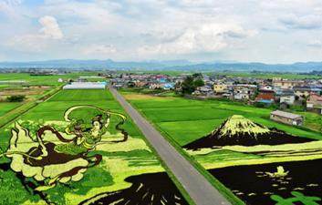 艺路向东李春林:大地艺术,带火了乡村旅游