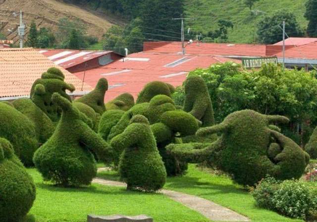 25个“植物造型”花园景观设计,网友直呼:植物的艺术!