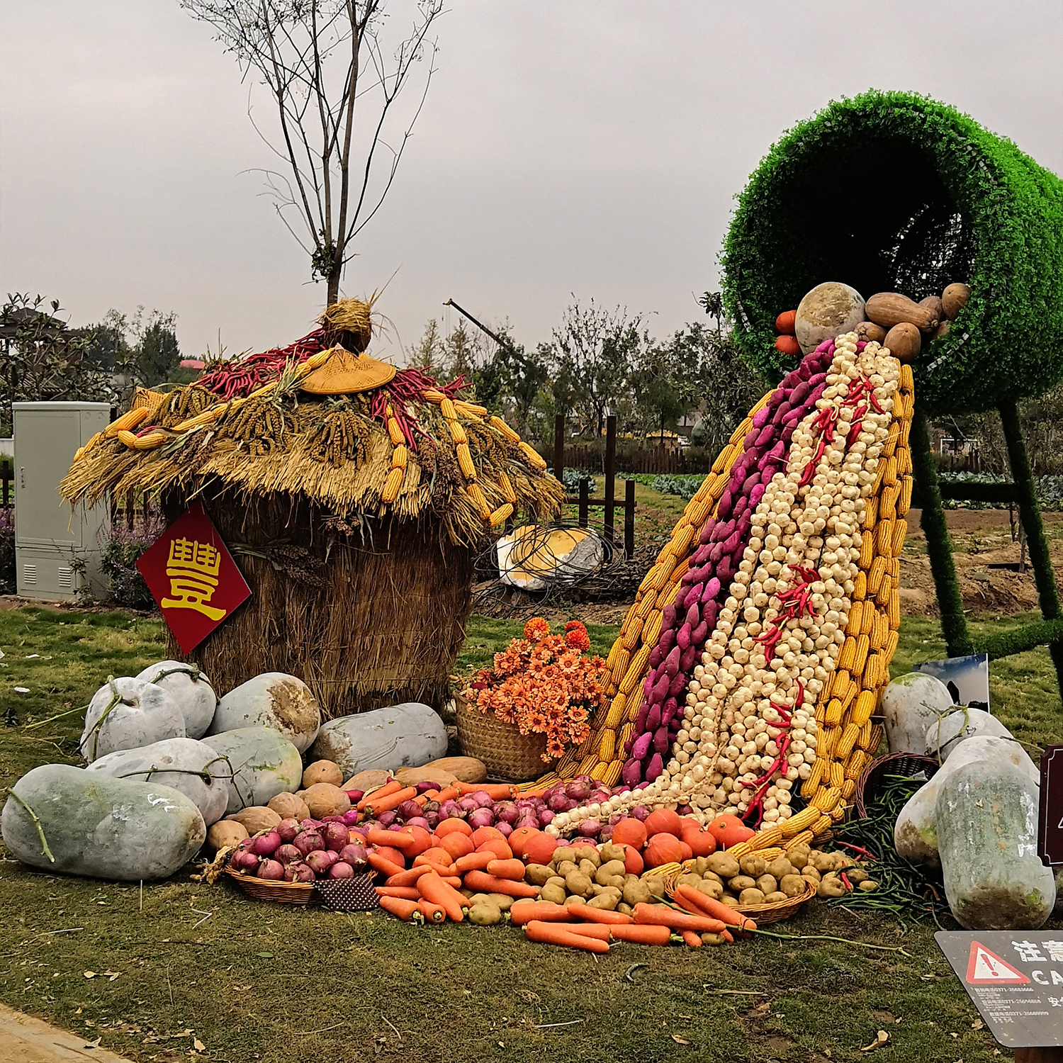 玉米苞叶、高粱杆、芝麻杆,废弃农作物变身艺术景观,亮相河南丰收节