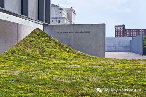 美国圣路易斯当代艺术博物馆green varnish景观艺术装置