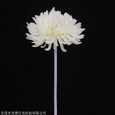 LED景观灯