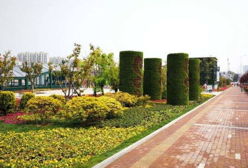 【五色草景观雕塑造型佛甲草雕塑造型适合摆放在什么场合】- 