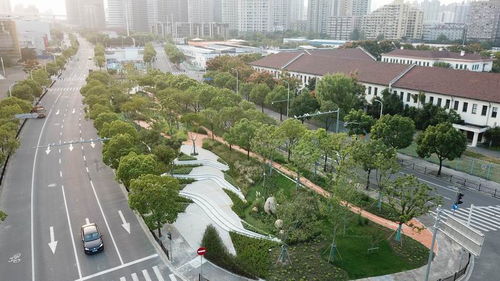 景观设计师眼中的上海 城市即展场