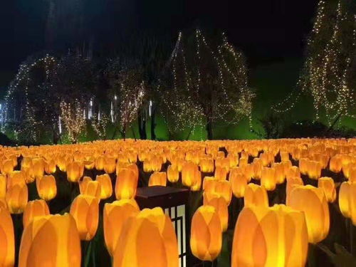 国际灯雕工艺品厂家与景观亮化艺术