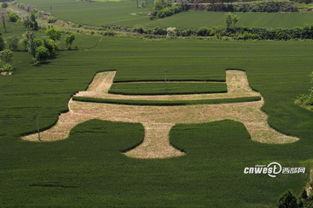 岐山麦田毛公鼎景观 大地艺术的当代呈现