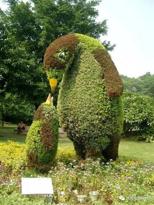 绿雕艺术 小镇特色文化的立体呈现与旅游赋能