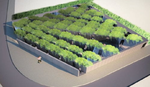 景观魔法师玛莎·施瓦茨 打破边界的造景艺术