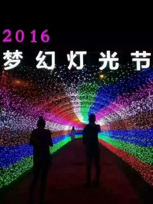 光影赋能，点亮景区新视界 探访大型灯光艺术产品的制作、租售与景观艺术融合